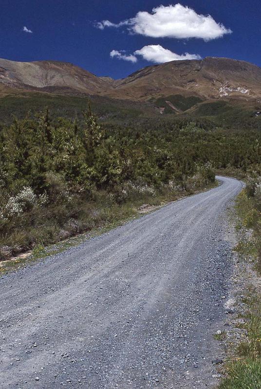 WT 0200 022-14 New Zealand.jpg